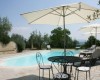 Slnečníky a lehátka pri bazéne v záhrade s olivovníkmi.