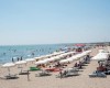ROSOLINA_ROSAPINETA_016.JPG