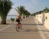 Žena na bicykli ide po promenáde s palmami popri vode.
