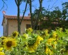 ilviaggiolo49.JPG