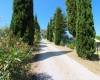 poggiolo04.JPG