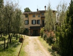 Castiglion Fiorentino - Villa DEGLI OLIVI 
      