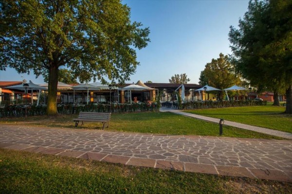 Vonkajšia terasa kaviarne obklopená stromami s lavičkou na trávniku.