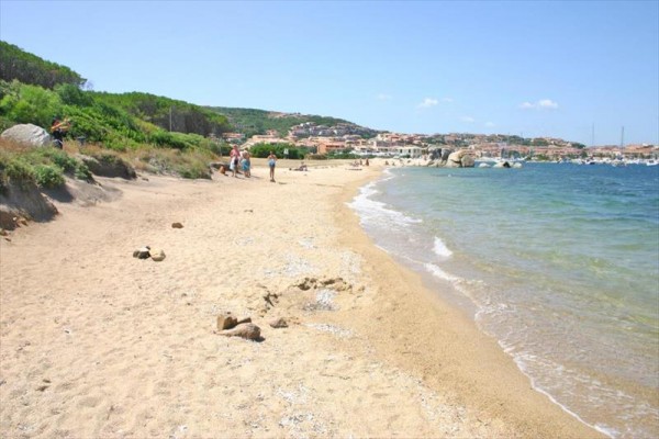 5LI00984_15.jpg