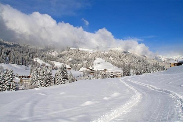 Zasnežená krajina s lesom a horami pod modrou oblohou.