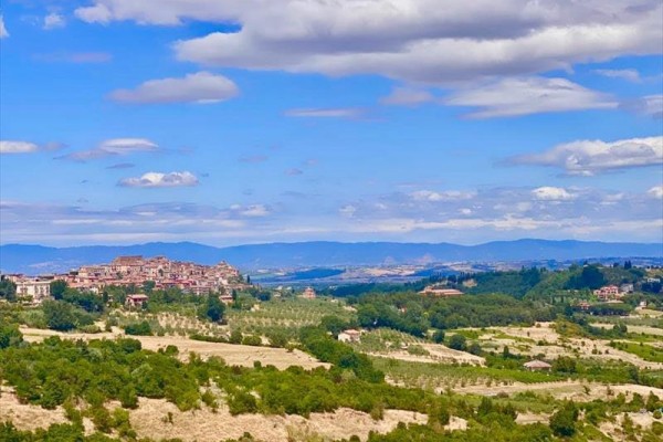 Městská panoráma s rozsiahlými poľami a lesmi pod modrou oblohou s obláčikmi.