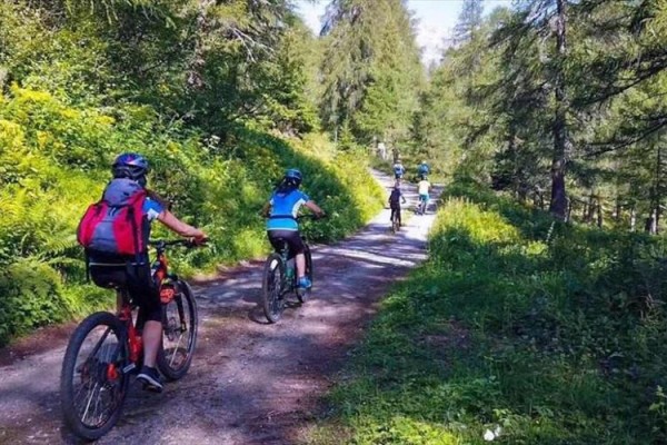 Ľudia na horských bicykloch jazdia po lesnej ceste.