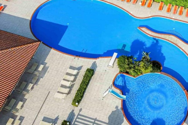 Pohľad z výšky na vonkajší bazén s ležadlami a rastlinami okolo.