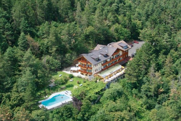 Hotel obklopený lesom s vonkajším bazénom.