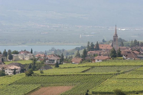 Dedina obklopená vinohradmi s kostolom a horami v pozadí.