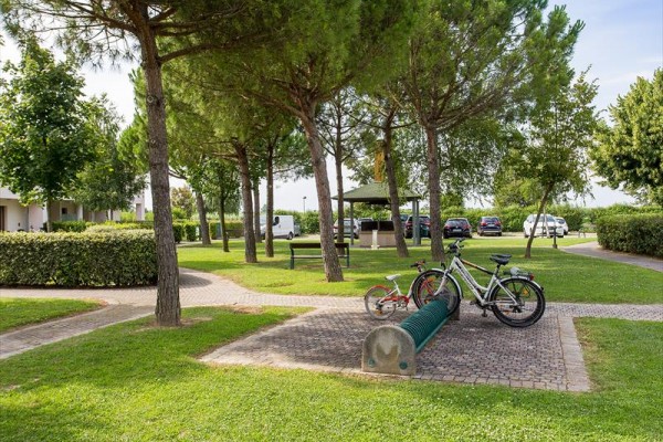 Dva bicykle zaparkované pri stojane v zelenom parku s lavičkami a stromami.