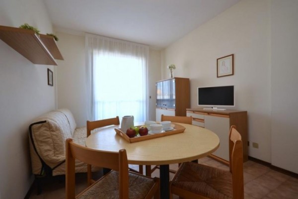 NASSE_bibione_04.jpg