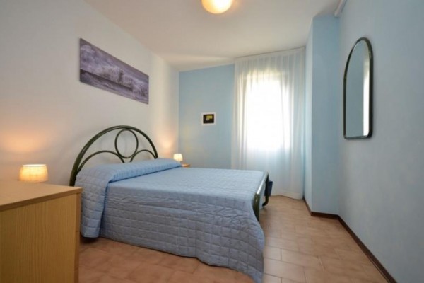 NASSE_bibione_07.jpg