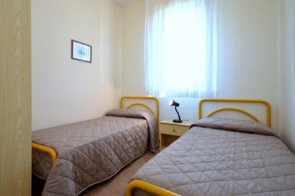 NASSE_bibione_08.jpg
