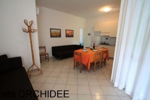 PINEDA_ORCHIDEE_BIBIONE_02.JPG