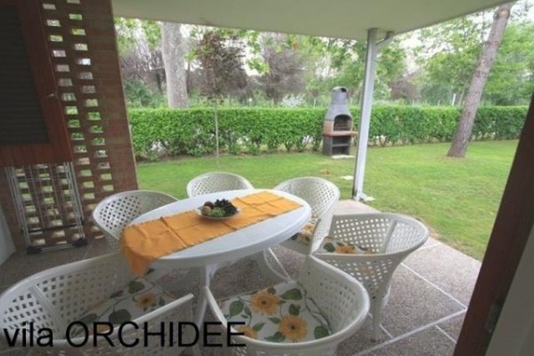 PINEDA_ORCHIDEE_BIBIONE_05.JPG