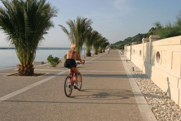 Žena na bicykli ide po promenáde s palmami popri vode.