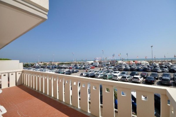 ZENITH_BIBIONE_04.JPG