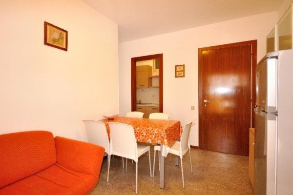 ZENITH_BIBIONE_05.JPG