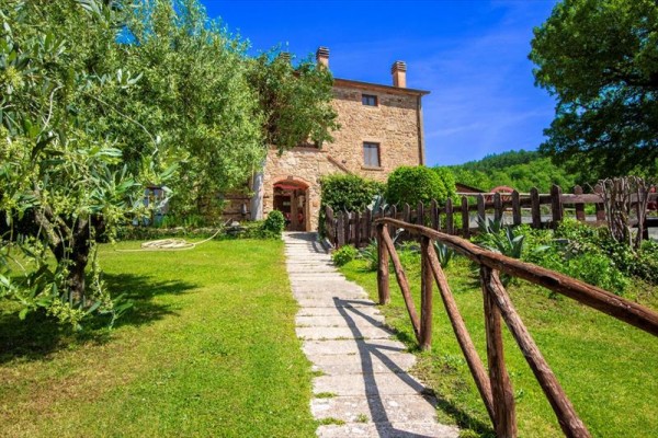 caiola06.JPG