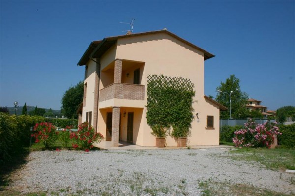 clementina17.JPG
