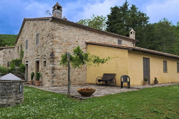 laprimula38.JPG