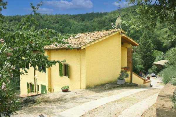 larogaia11.JPG
