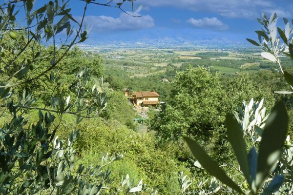 larogaia6.JPG